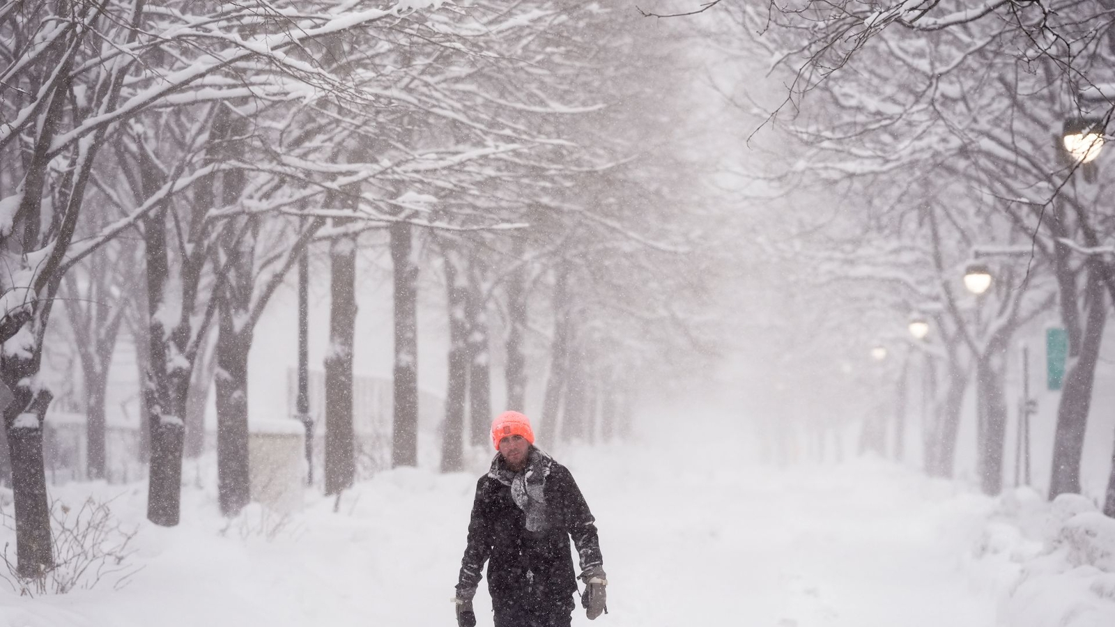 Thousands of New Yorkers ask Mamdani in petition to switch to remote learning on Tuesday
