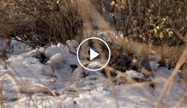 Mamdani Directs Agency to Restart Homeless Encampments Sweeps