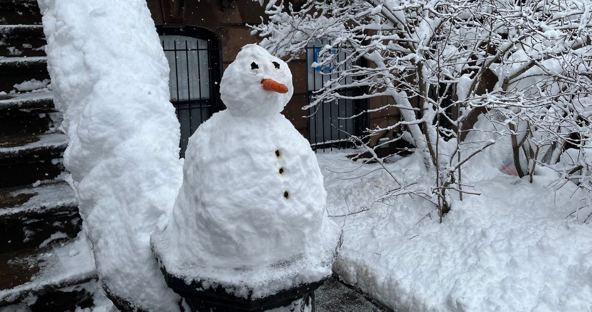 Scenes From Your Blizzard: Photos of Snow-Covered NYC