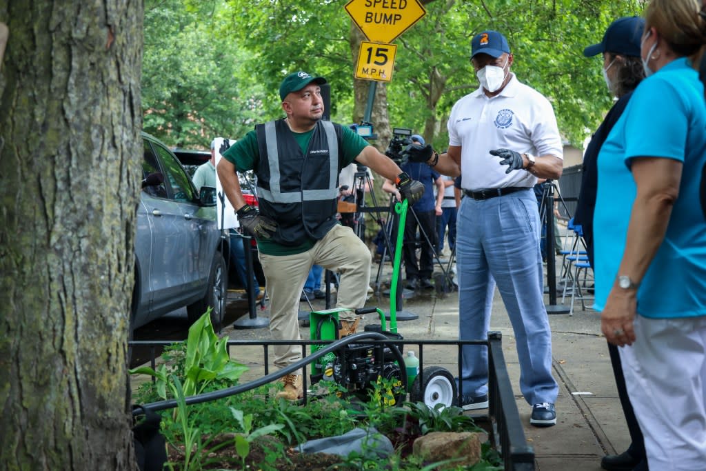 The latest initiative in the war on rats – followed by containerizing 70% of the city’s street trash and even feeding the rodents birth control – is set to put an end to the “historically exploited” street tree beds used by vermin as a breeding ground. Michael Nagle
