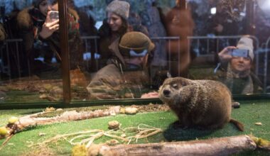 Staten Island Chuck Predicts Six More Weeks of Winter at Zoo's Groundhog Day Event