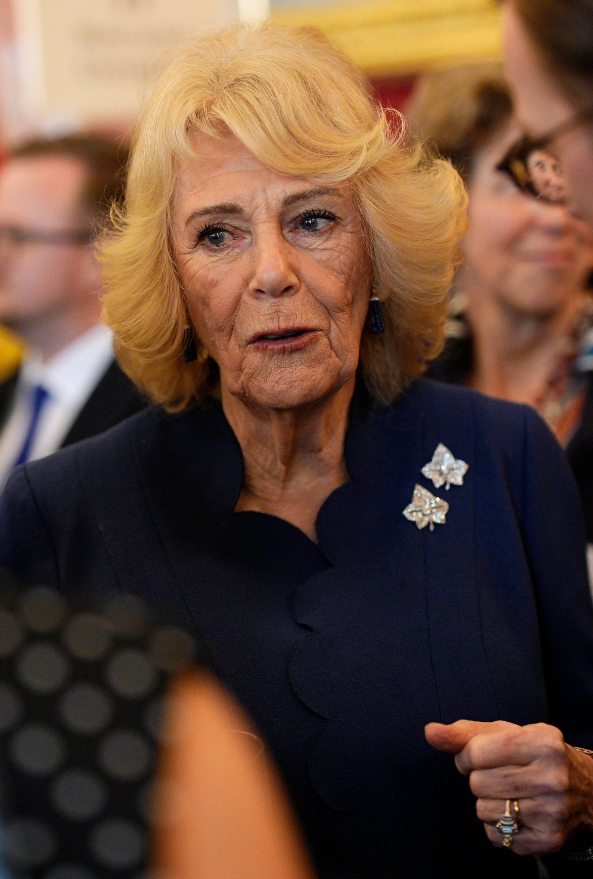 Queen Camilla attends a reception following the presentation of the Queen Elizabeth Prizes for Education at St. James's Palace in London on February 24, 2026 (Aaron Chown/PA Images/Alamy)