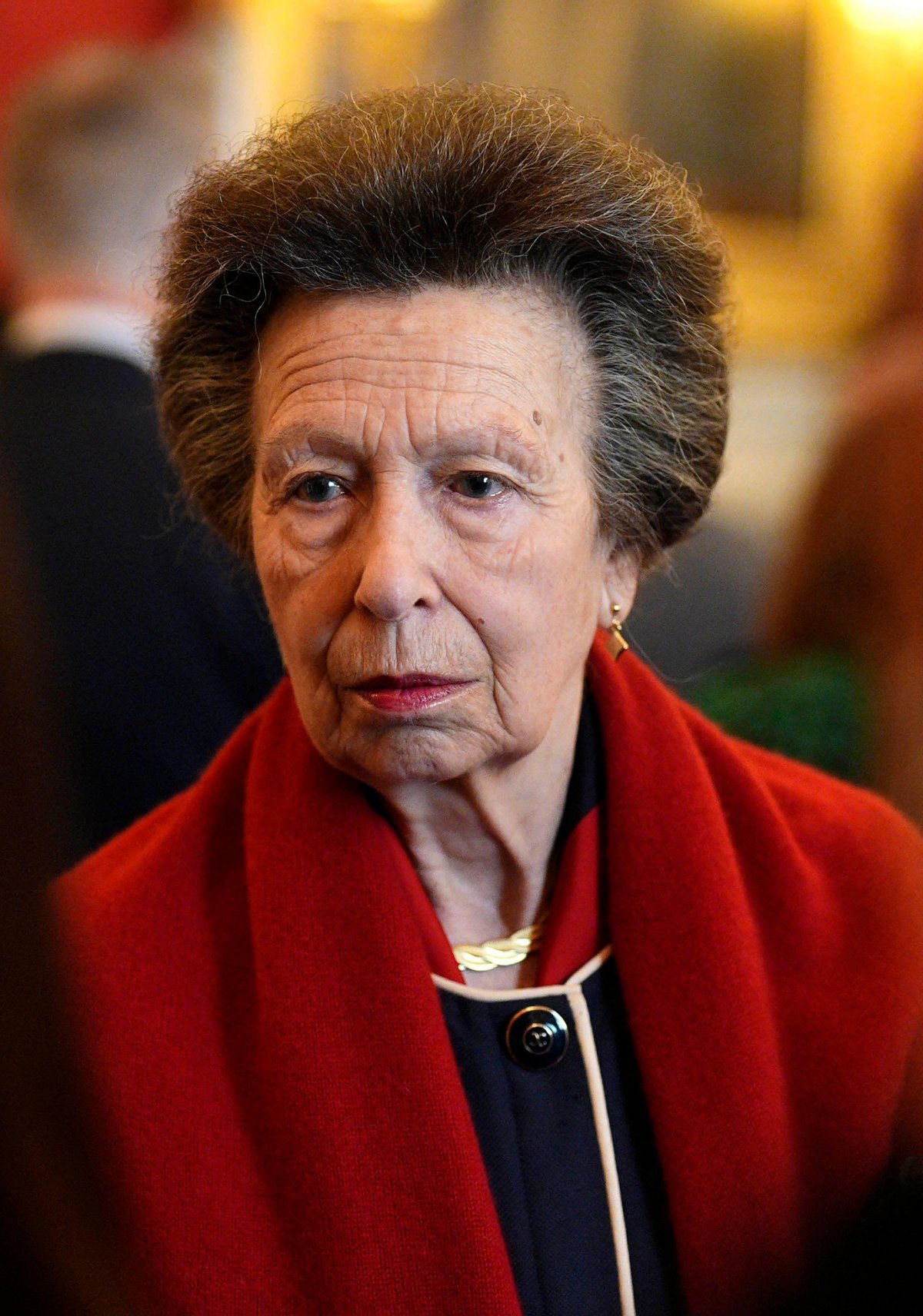 The Princess Royal attends a reception following the presentation of the Queen Elizabeth Prizes for Education at St. James's Palace in London on February 24, 2026 (Aaron Chown/PA Images/Alamy)