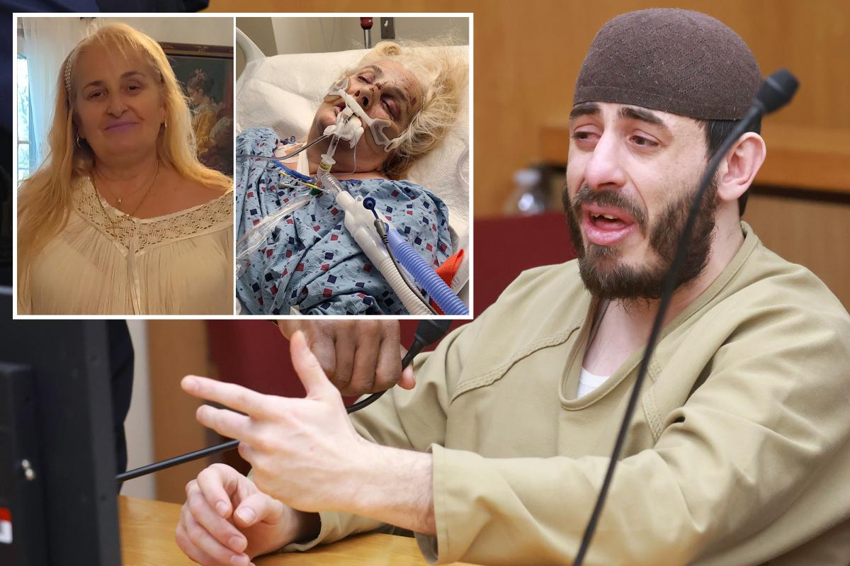 'Devil' son who pushed mom out of NYC high-rise claims it's her fault in sentencing sob story