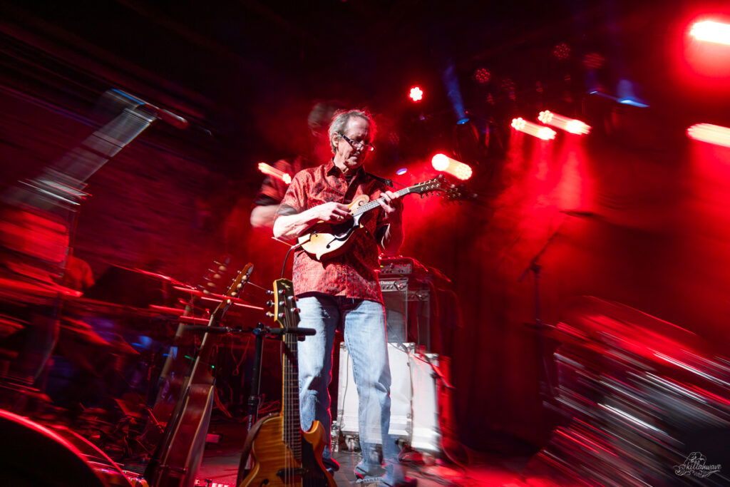 Jamie Masefield | Jazz Mandolin Project