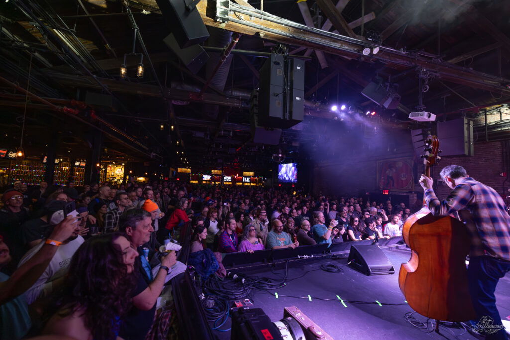Jazz Mandolin Project | Brooklyn Bowl