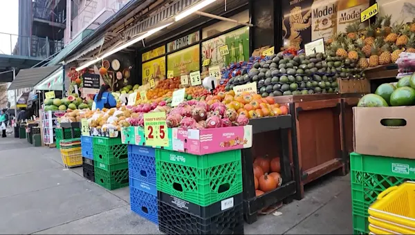 News 12 | Brooklyn | Stricter work requirements for SNAP go into effect March 1