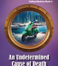 Manhattan Book Group Announces Gold Win for 'An Undetermined Caus