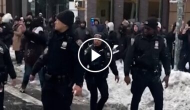N.Y.P.D. Reviewing Videos Showing Officers Being Hit With Snowballs