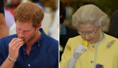 Prince Harry's indulgent snack his grandmother Queen Elizabeth II enjoyed once a year