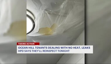 News 12 | Brooklyn | TAKING ACTION: Ocean Hill tenants ask for help after repeated leaks, months with no heat
