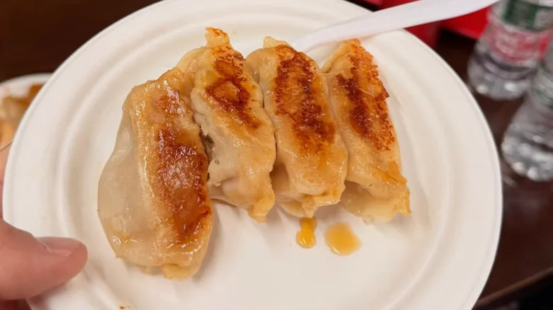 Four pan fried dumplings served on a plate from Tasty Dumpling