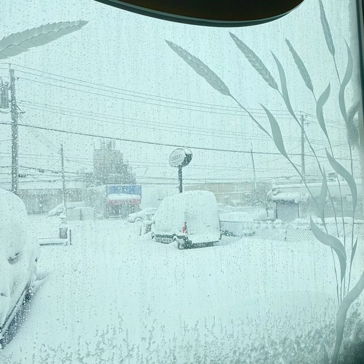 Snow blizzard restaurant owners