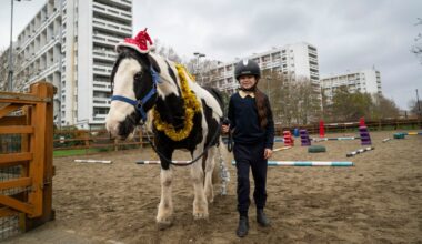How the Queen’s horse charity helps troubled kids lead a stable life