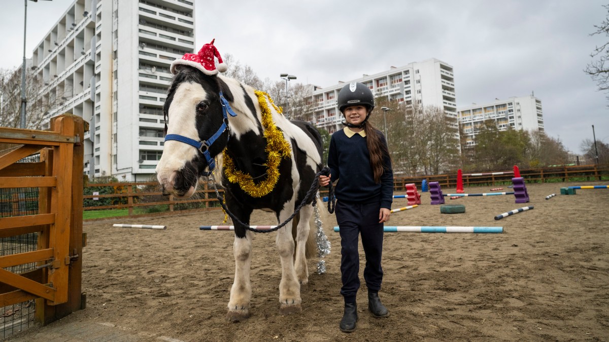 How the Queen’s horse charity helps troubled kids lead a stable life