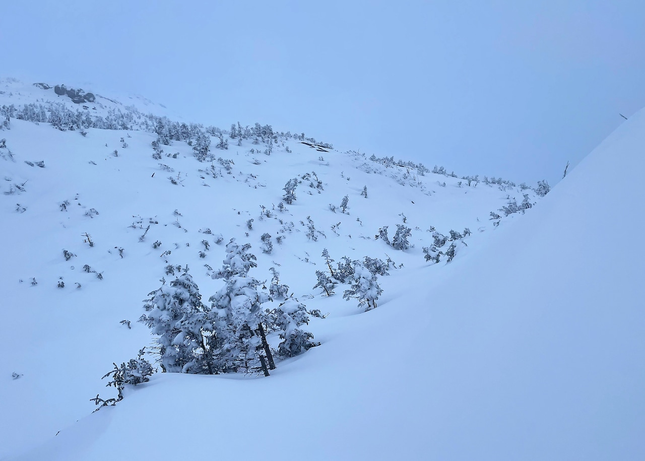 21-year-old hiker from N.J. dies after slipping off mountain trail in N.Y.