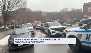 News 12 | Brooklyn | Police search for trio responsible for shooting near Marlboro Houses in Gravesend