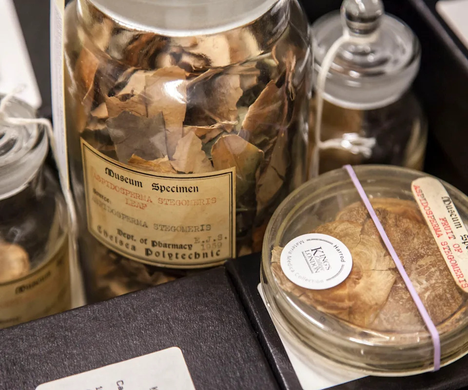 The Economic Botany Collection at Kew Gardens Steve Lancefield © RBG Kew