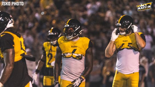 Steelers Patrick Queen