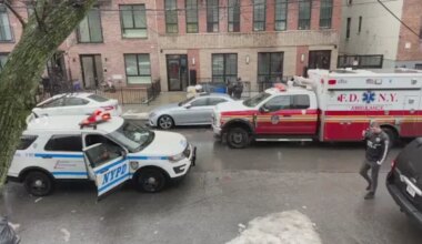 News 12 | Brooklyn | Teen boy shot in Prospect Lefferts Gardens