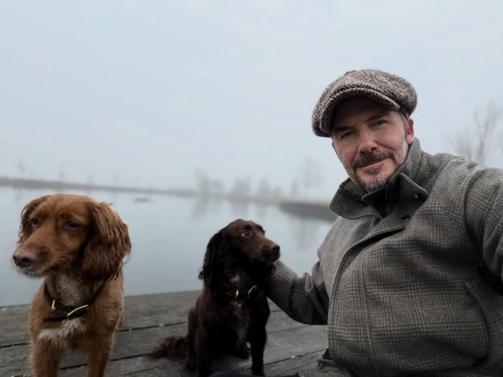 David beckham selfie in misty field with two dogs