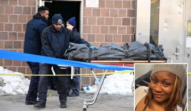 Brooklyn mom fell into trash compactor and was crushed alive as people heard her chilling screams