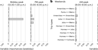 Spatial distribution of foot traffic in New York City and applications for urban planning