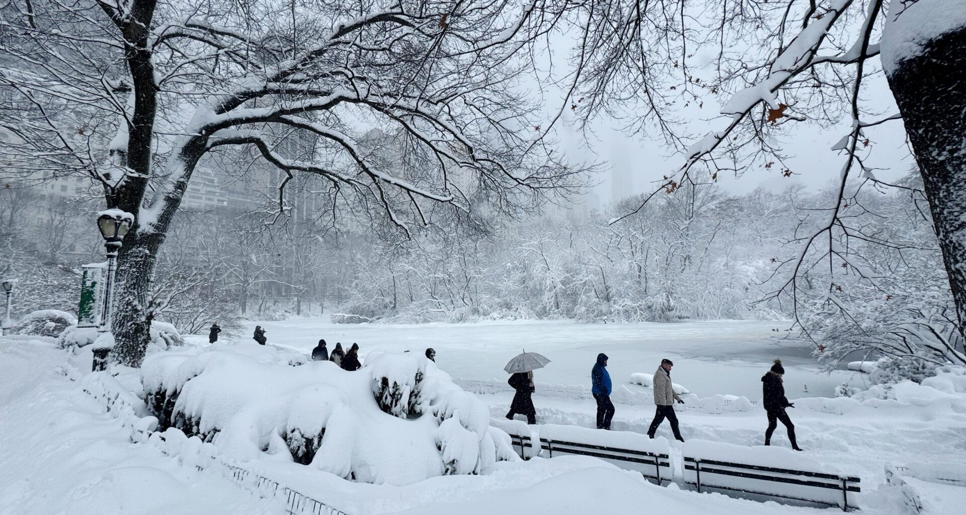 Pedestrians walk through snow in Central Park during a winter storm in New York on Feb. 23.