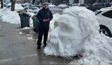News 12 | Brooklyn | Prospect Heights resident creates 5-foot snow sculpture on street