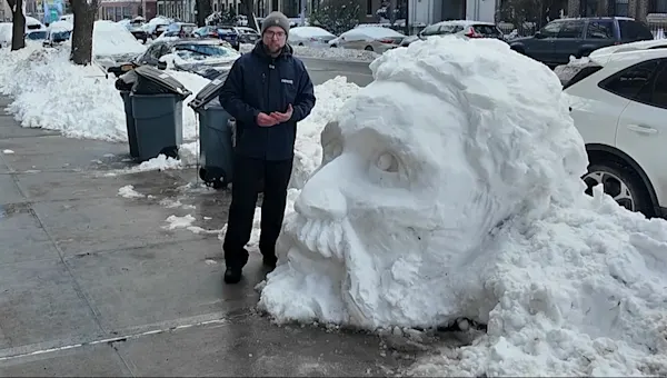 News 12 | Brooklyn | Prospect Heights resident creates 5-foot snow sculpture on street