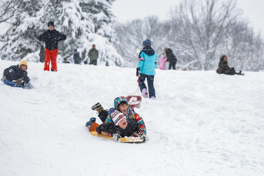 Children sled in Central Park as snow falls in New York.