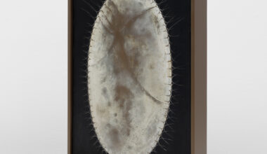 Elda Cerrato: Transcend/Transport - The Brooklyn Rail