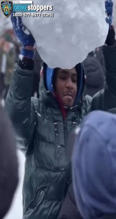 Bronx man busted for assaulting cops during Washington Square Park snowball fight 3