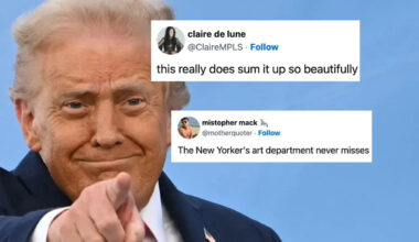 A New York Magazine's Graphic Describing MAGA Vs. The Democratic Party Is Going Viral, And People Are Calling It "Painfully Accurate"