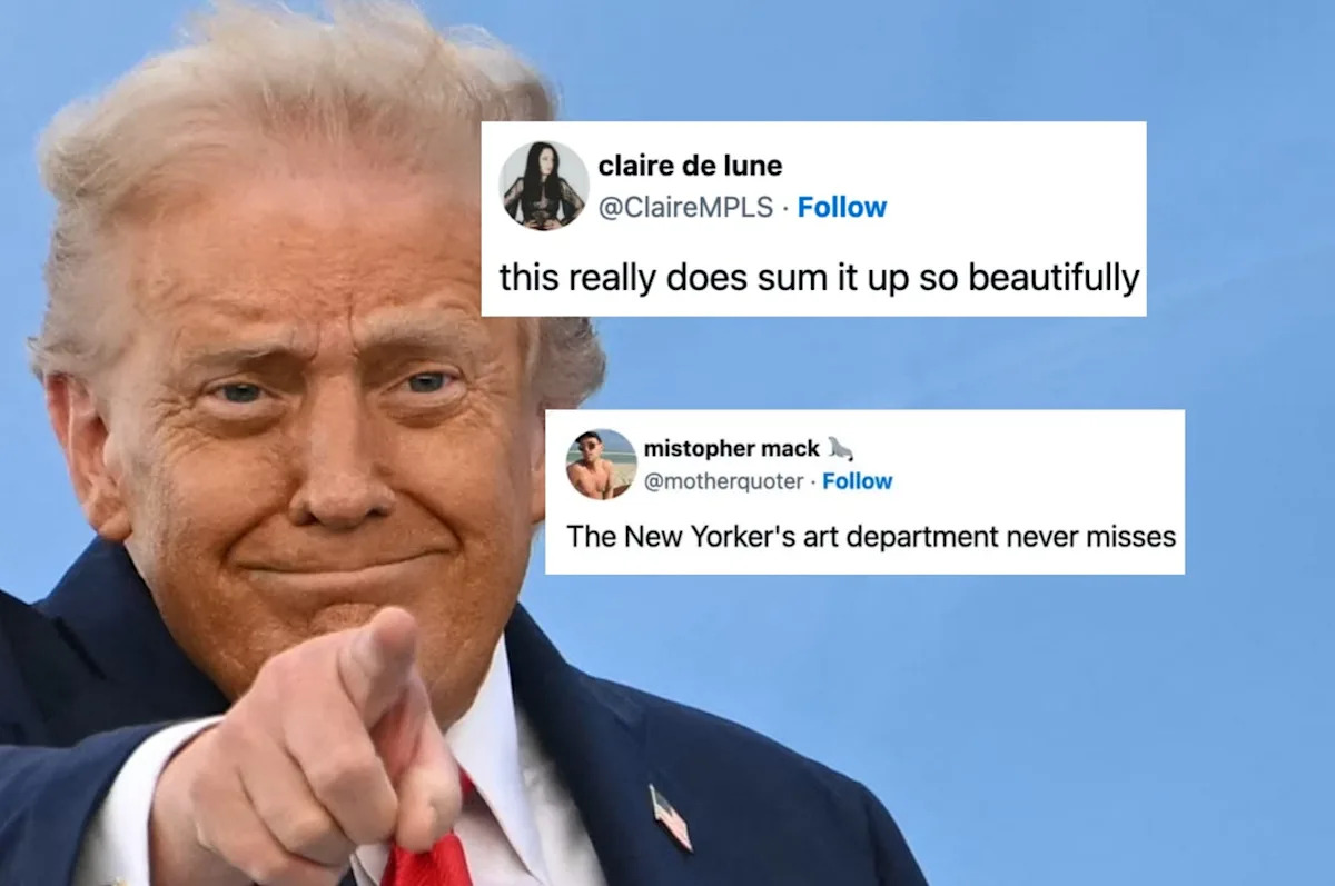 A New York Magazine's Graphic Describing MAGA Vs. The Democratic Party Is Going Viral, And People Are Calling It "Painfully Accurate"