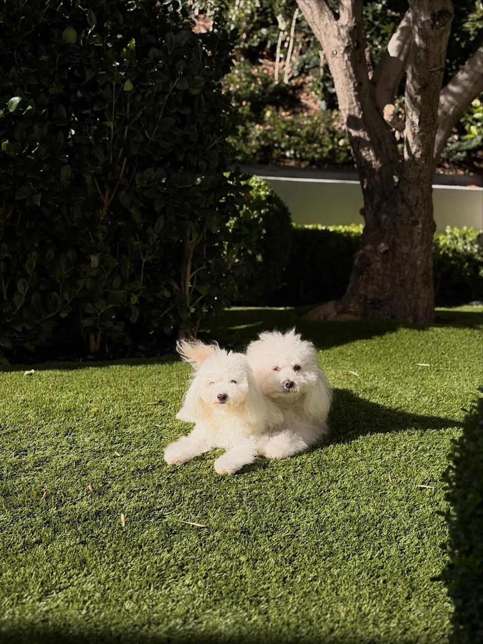 <span class="wp-caption-text">Brooklyn Beckham / Instagram</span>