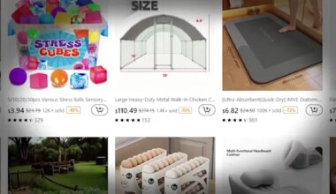 News 12 | Brooklyn | Kane In Your Corner: States sue Temu's parent company over allegations of intrusive data collection