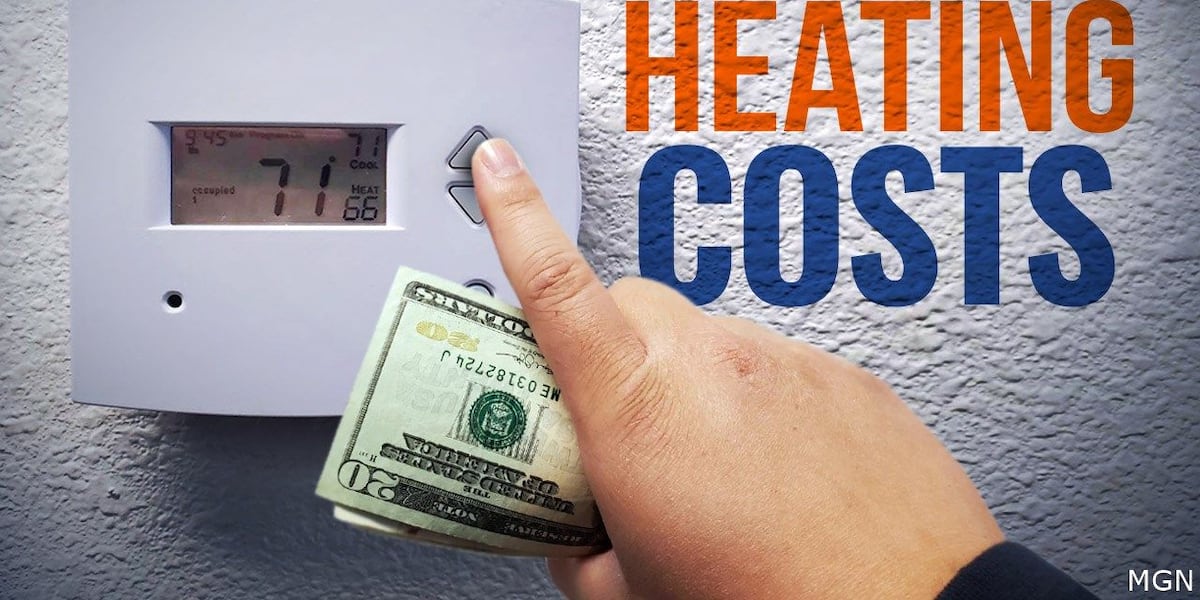 25% of utility delivery fees go to NY state