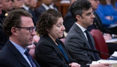 Council grills city over homeless removals in cold snap