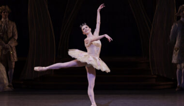 Kavalier & Clay, The Sleeping Beauty, and More: What's Happening in Classic Arts This Week