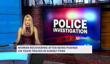 News 12 | Brooklyn | NYPD: Man pushed woman onto subway tracks, punched another in Sunset Park