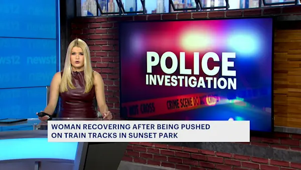 News 12 | Brooklyn | NYPD: Man pushed woman onto subway tracks, punched another in Sunset Park