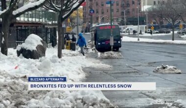 News 12 | Long Island