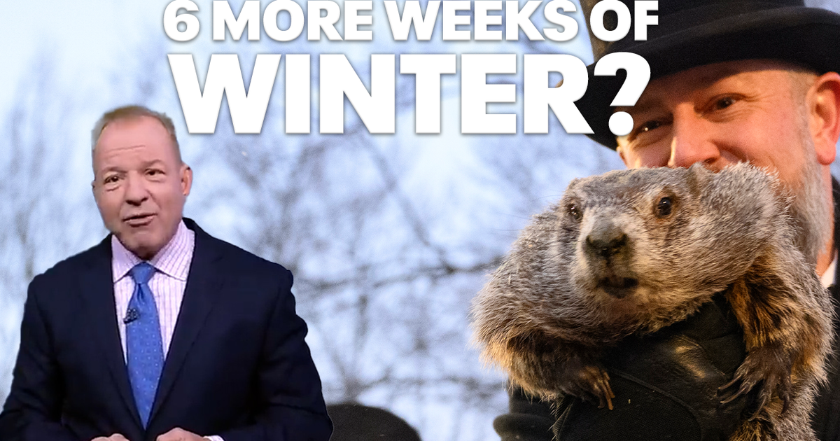 6 more weeks of winter? Meteorologist predictions for NYC