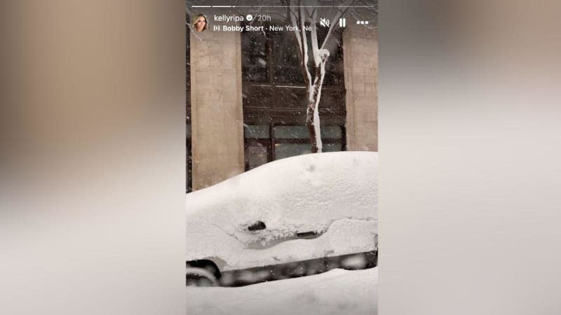 Kelly Ripa captured photos around Manhattan during the snow day.@kellyripa/Instagram