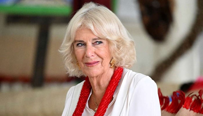 Queen Camillas supporter makes surprising U-turn for royal family