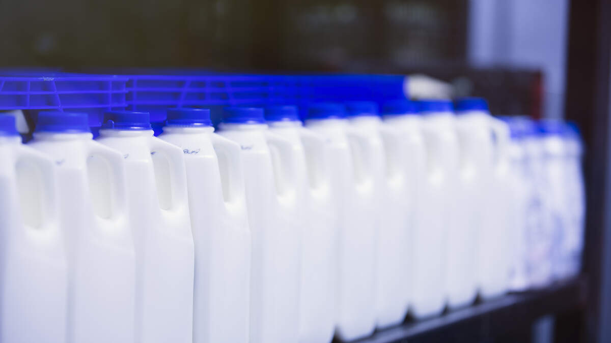 Cortland County Teen Joins New York State Dairy Ambassador Team