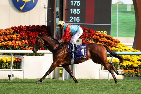 Hong Kong Record 18th Straight Win for Ka Ying Rising
