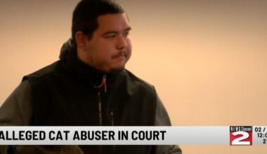 21-Year-Old Charged with Animal Cruelty in Oneida County Court | Crime