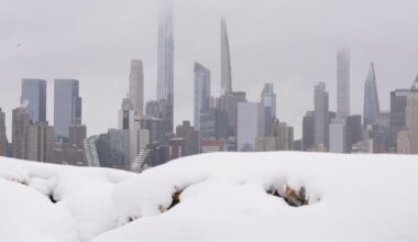 New York City Police Investigating After Officers Were Hit with Snowballs During a Snowball Fight | State